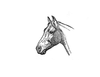 Kishen Villa The Boutique Hotel Jodhpur